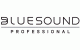 Bluesound Professional