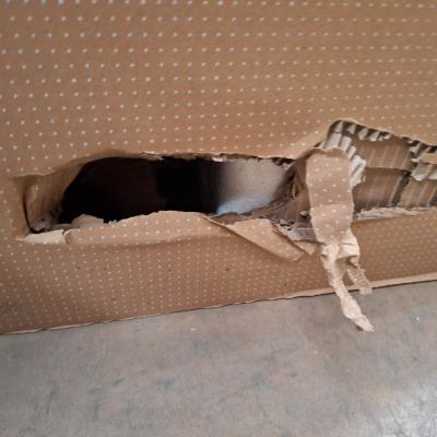 SMWA75DD2 75" WAD E Board, Interactive Display Clearanc