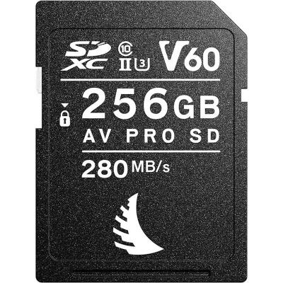 AV Pro SD MK2 256GB V60