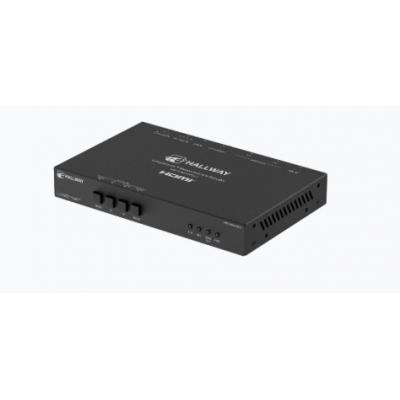 HW-LUMA-D4111
