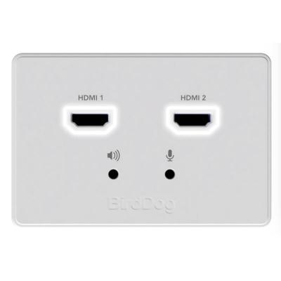 Wallplate Dual Input