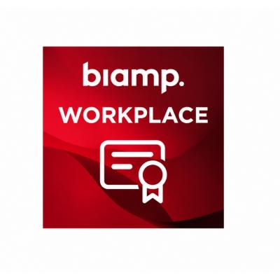 BIAWORKPLACE5