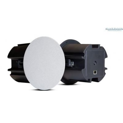 BLUEBCS300 BCS300