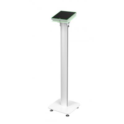 Evoko Naso Freestand Mount