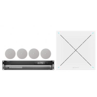 DS4 Ceiling Audio Bundle