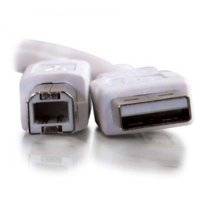 CG81562