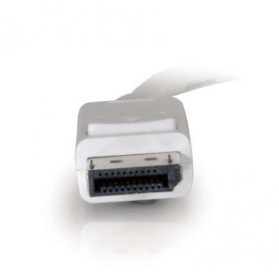 CG84298