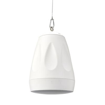 Contractor CVS-P62TW Pendant Speaker