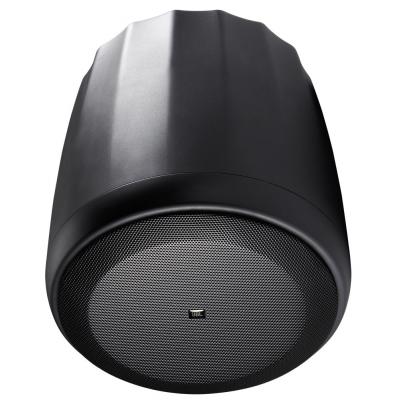 Control 60PS/T Pendant Speakers