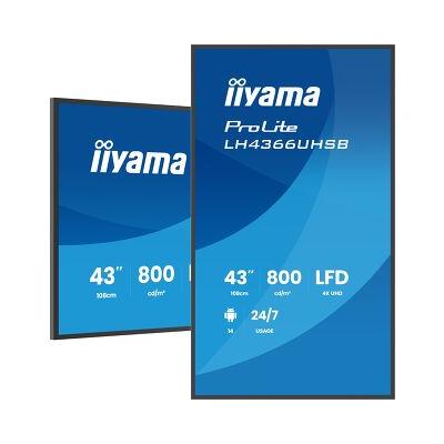 43" LH4366UHSB-B1AG Commercial Display