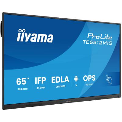 65" TE6512MIS-B4AG Interactive Display