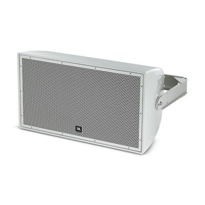 AW266-LS 2-Way Full Range Speaker