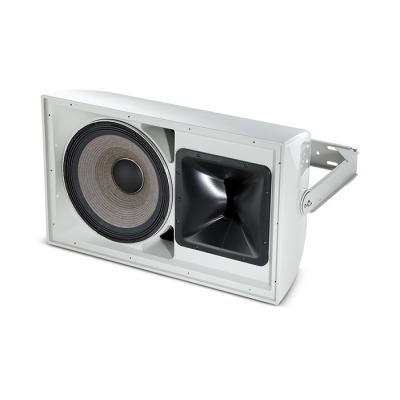 AW566-LS 2-Way Full Range Speaker