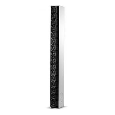 CBT 100-LA-LS Line Array Column Speaker