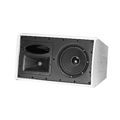 Control 29AV-1 Monitor Speaker