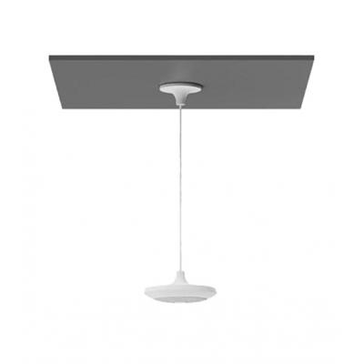 Mic Pod Pendant Mount