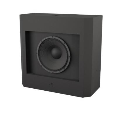 SBV21 Subwoofer
