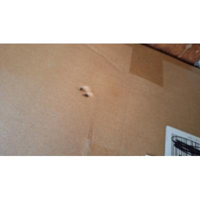 Biamp Desono C-IC6 Conferencing Loudspeaker PAIR