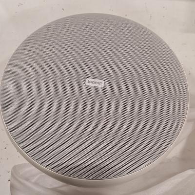 Desono P6-SM Loudspeaker - Clearance