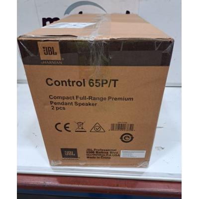 Control 65P/T Pendant Speakers - Clearance