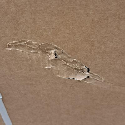 75" 75UH5N-M Display - Clearance