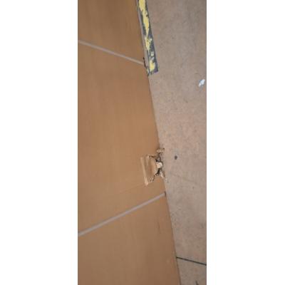 85" FW85BZ30L Commercial Display - Clearance