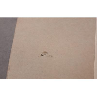 BT8506 - Clearance Product