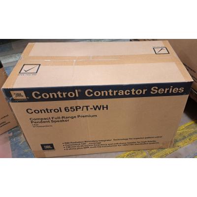 Control 65P/T Pendant Speakers - Clearance