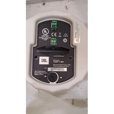 Control 65P/T Pendant Speakers - Clearance