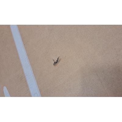 27" 27B2U4601/00 Monitor - Clearance Product