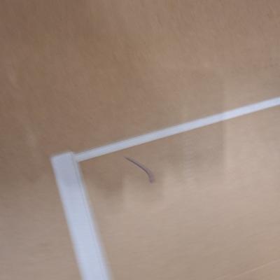 34" 34B1U5600CH Monitor - Clearance