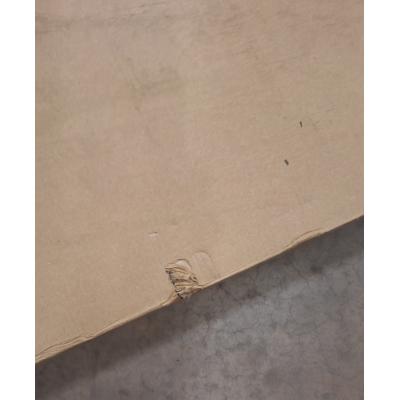 SL Ceiling Mic II - Clearance Product