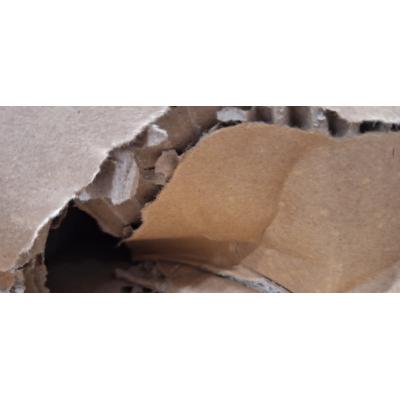 65" MX Series Interactive Display - Clearance