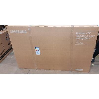 75" BEFX-H Commercial Display - Clearance