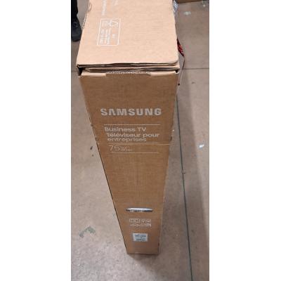 75" BEFX-H Commercial Display - Clearance