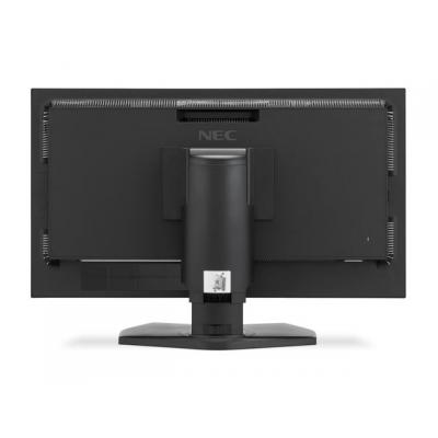 31" PA311D Monitor