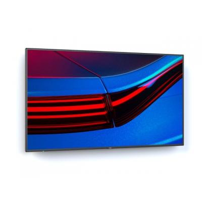 49" P495 Commercial Display