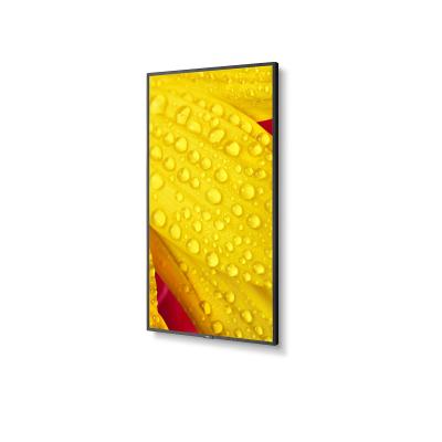 50" MultiSync ME501 Display