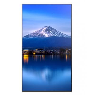 43" MultiSync P436 Commercial Display