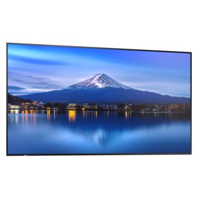 43" MultiSync P436 Commercial Display
