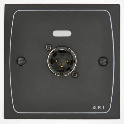 XLR wall plate with male 3 pin
