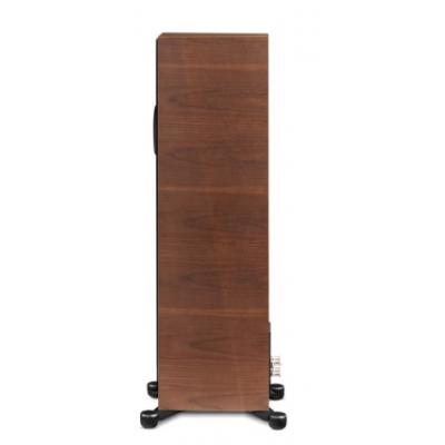 Founder 80F Floorstanding Speaker - Walnut