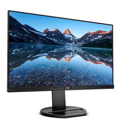 25" 252B9/00 Monitor