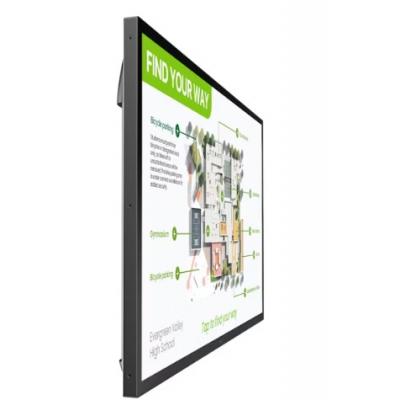 55" 24/7 Interactive Display