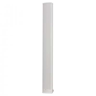 CS 6940EN Column Speaker