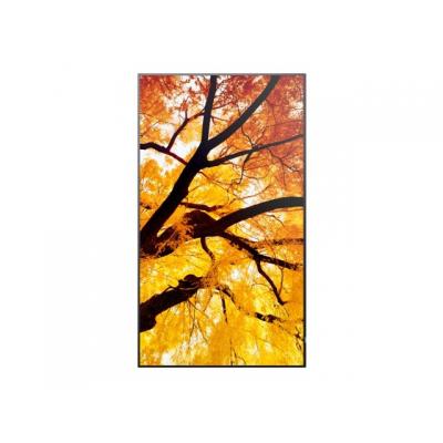 65" 60006056 Commercial Display