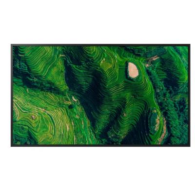 SONYFW50BZ35P 50" FW50BZ35PB.CEI Commercial Display