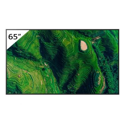 SONYFW65BZ35P