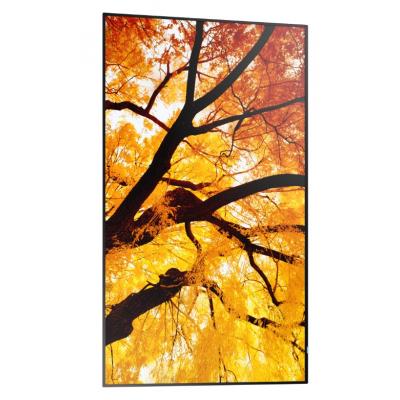 86" MultiSync M862 Commercial Display