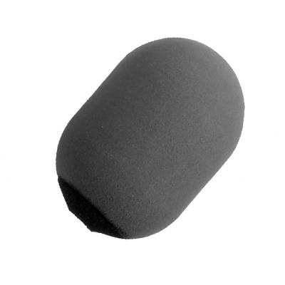A81WS